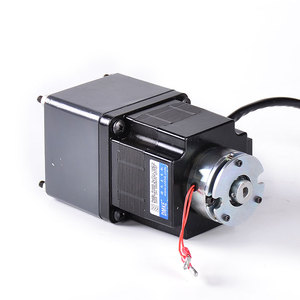 电动马达24V 48V 750W 500W 200W 500RPM 200RPM电动无刷直流马达和齿轮箱的定制减速器 - Product Image 1