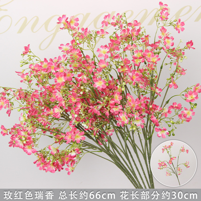 Branche de Daphné rose-rouge