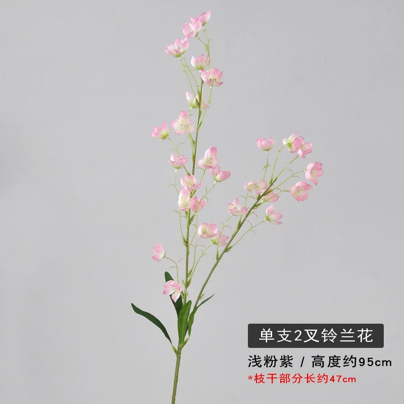 Rose violet