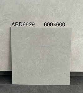 2025 bán chạy nhất 600x600 trắng mịn Antique gốm gạch lát sàn hiện đại trên bán - Product Image 4