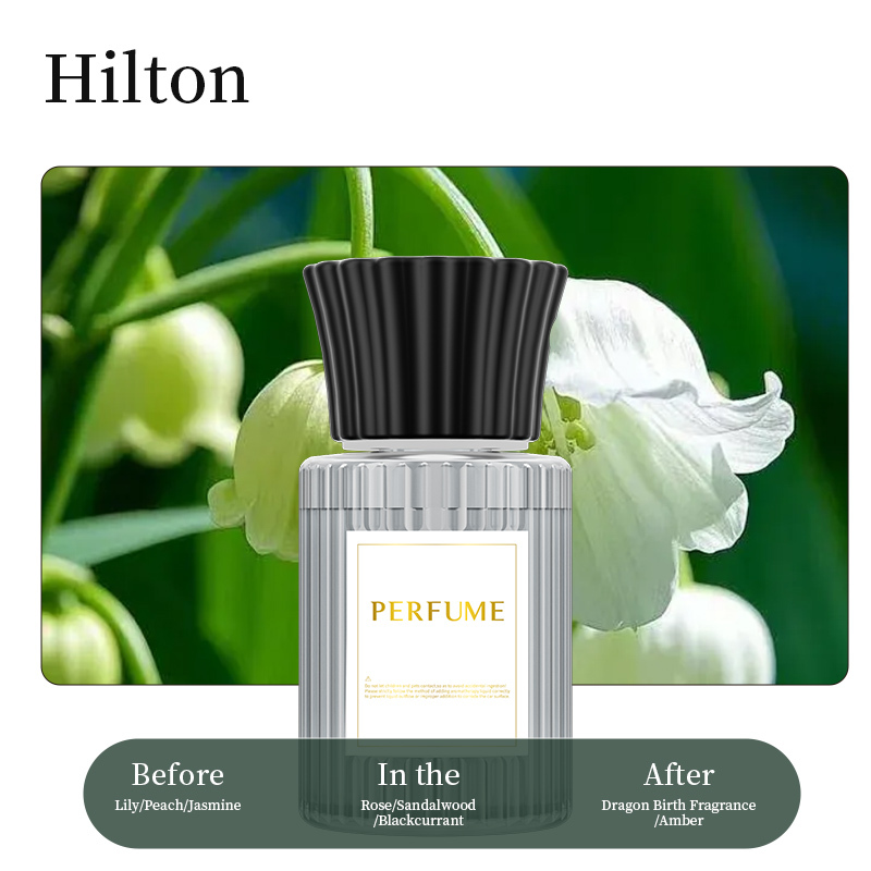D7 Hilton