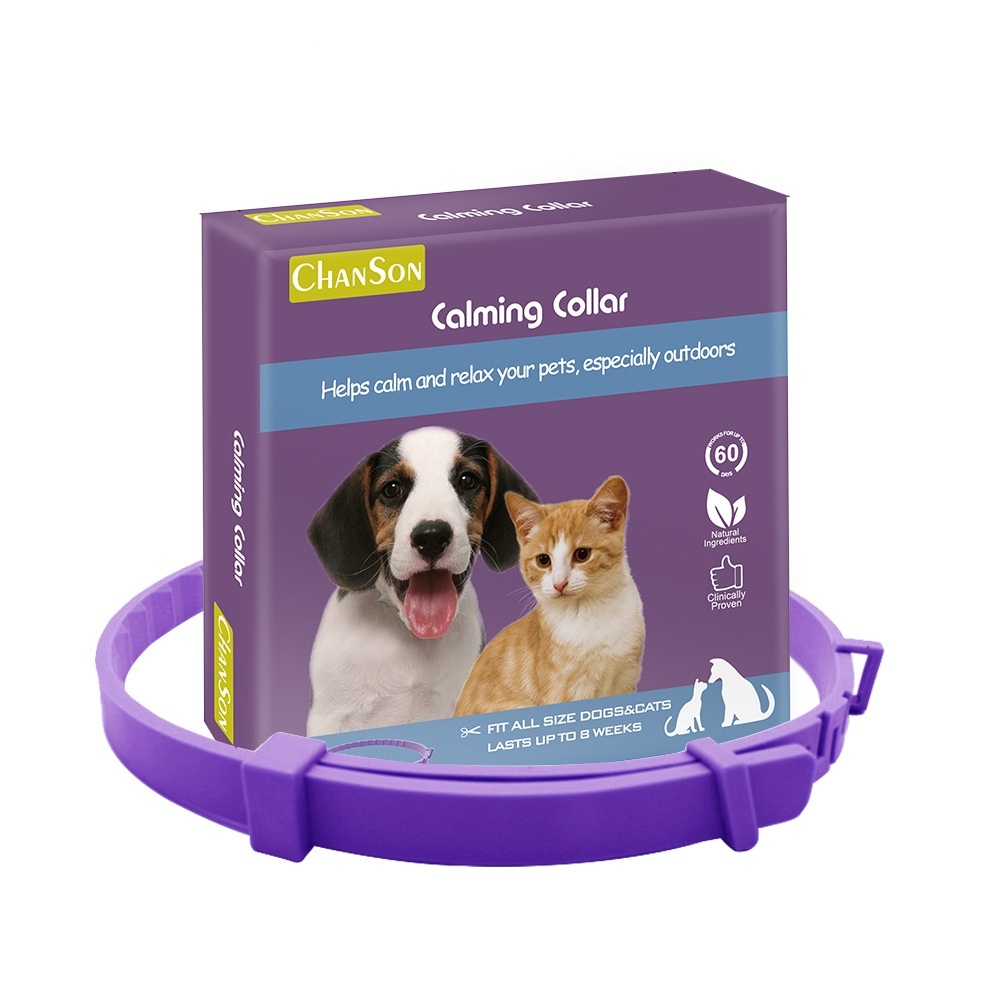 Violet, boîte de couleur, 62 cm, Calming Dogs