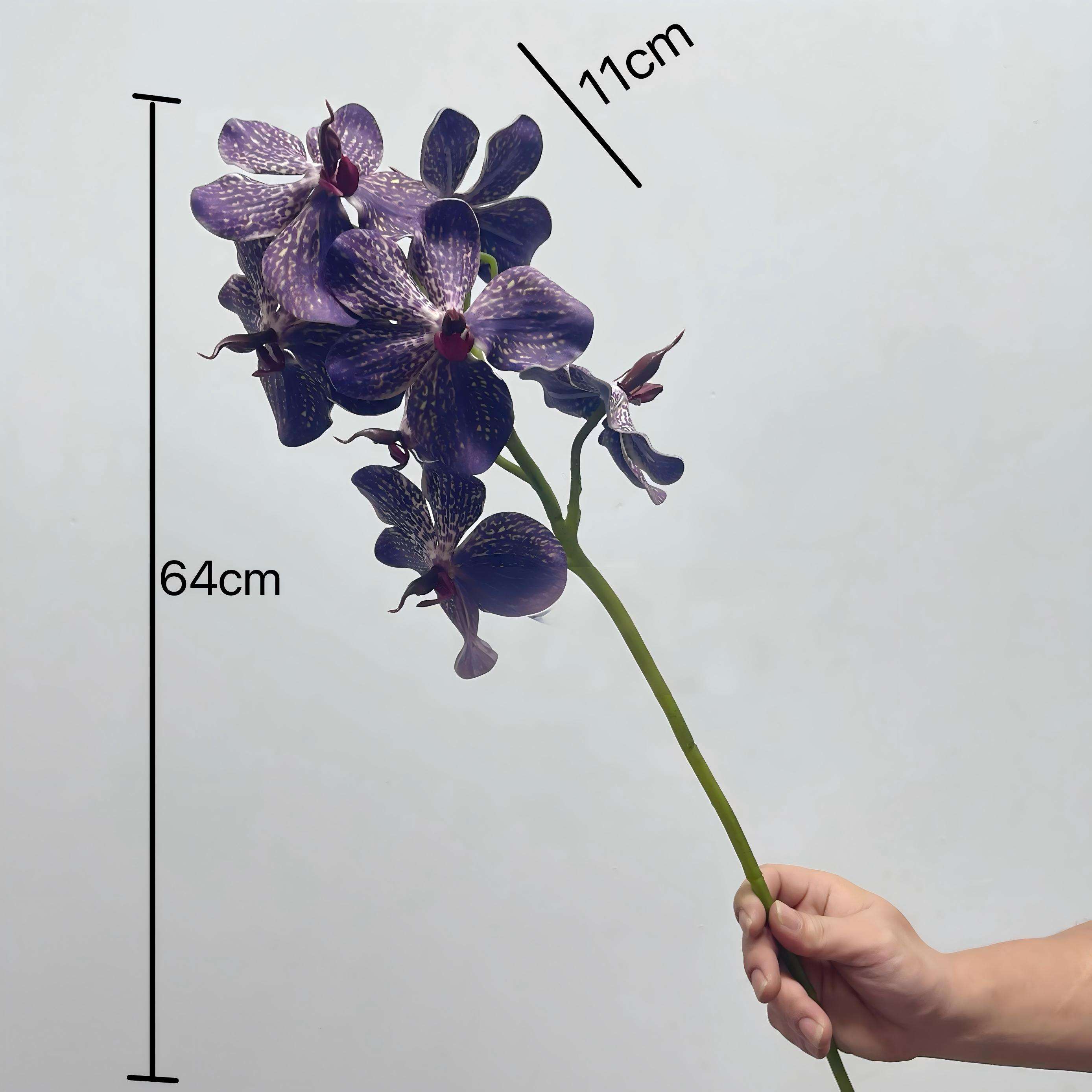 สีม่วงเข้ม