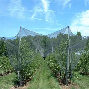 UV-beständige Landwirtschaft Anti-Hagel-Netz Apfelbaum Hagels chutznetz für Weinberg
