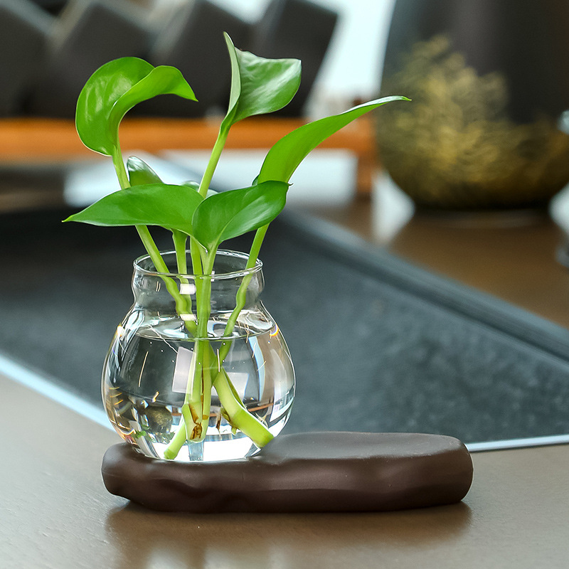 Bouteille en verre transparent à base hydroponique