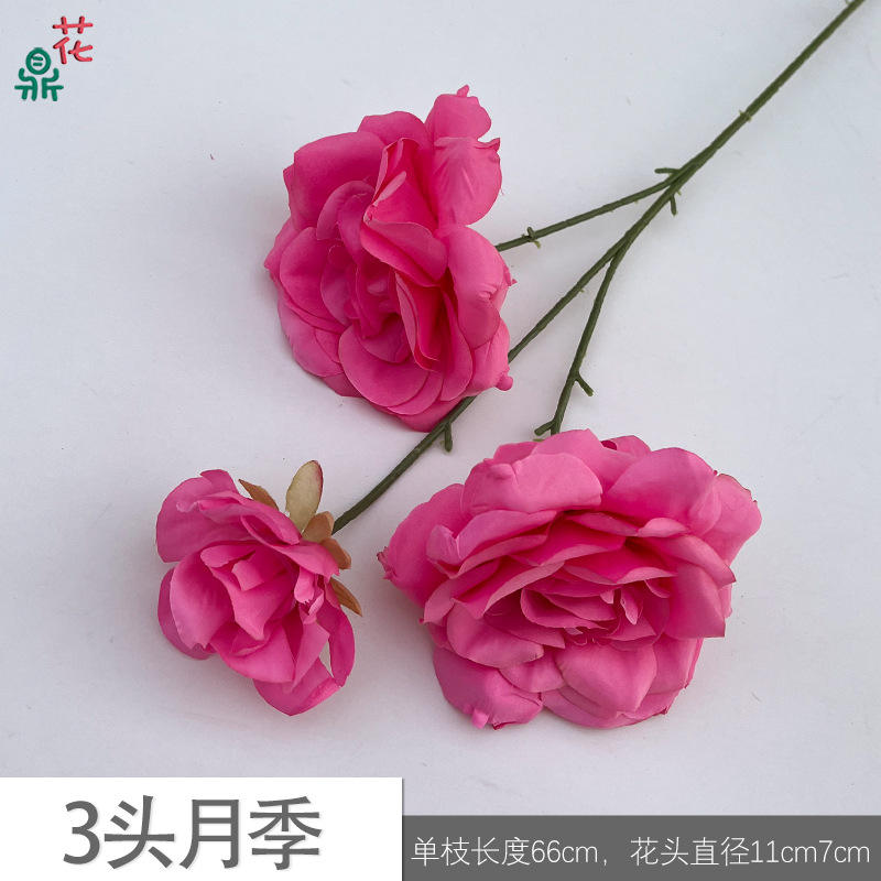 3 first rose EH rose red