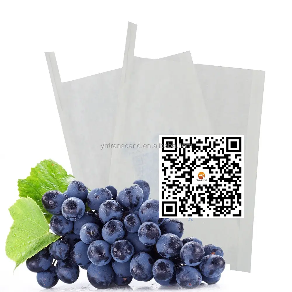 Sacchetto di frutta di dimensioni personalizzate per la protezione dell'uva carta carta per la coltivazione della frutta sacchetti di protezione per la coltivazione della frutta sacchetti di protezione