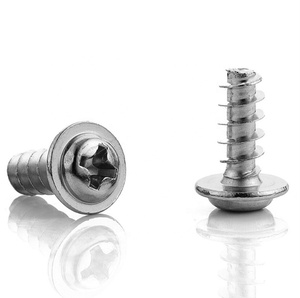 <strong>M1</strong>.4 <strong>M1</strong>.<strong>7</strong> M2 M2.3 M2.6 M3 M3.5 M4 Cross Round Head with Cushion Self-tapping <strong>Screw</strong> Nickel Plated with Flat Tail <strong>Screw</strong> - Product Image 4