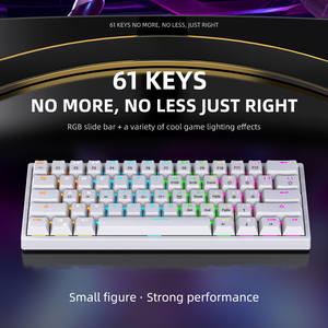 <strong>Custom</strong> 61 <strong>Keys</strong> Pudding Keycap Wired RGB LED 60% Gaming Mechanic <strong>Keyboard</strong> USB Interface New Hot Swap with Transparent Cover - Product Image 5