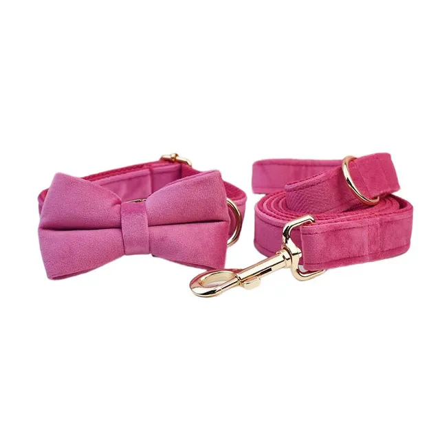 Bow Collar Leash Set