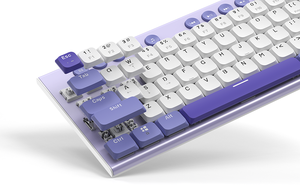 Custom Multifunction Smart 60% RGB Wireless/ Wired Mini <strong>Keyboard</strong> for PC <strong>Computer</strong> Laptop <strong>Multimedia</strong> - Product Image 5