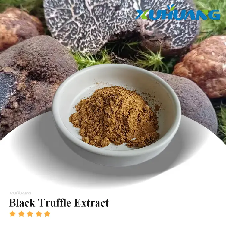 Factory Supply Natural Black Truffle Powder Black Truffle Extract