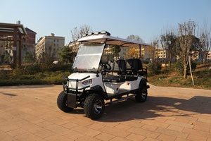 6 chỗ ngồi off-road điện tham quan Golf Buggy 48V thép Ride-on xe giỏ hàng để bán sân bay - Product Image 3
