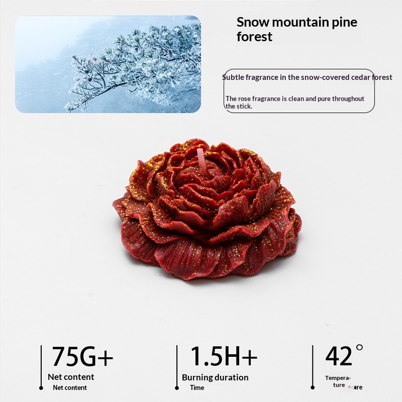 Forêt de pins de montagne enneigée