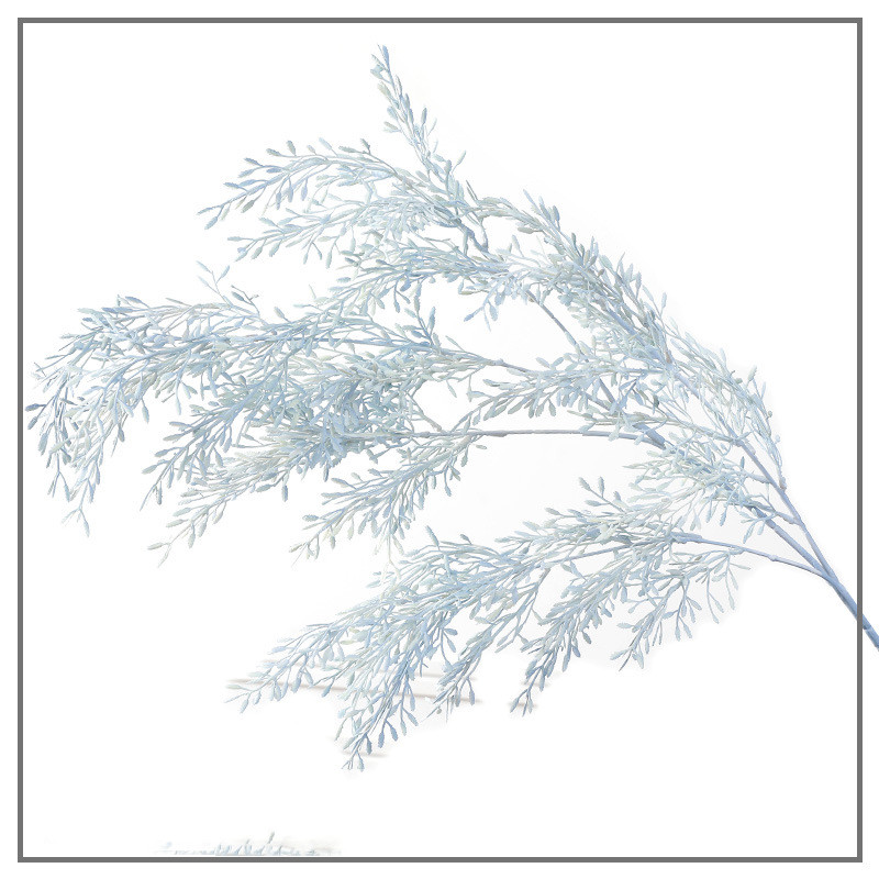 Bleu 11