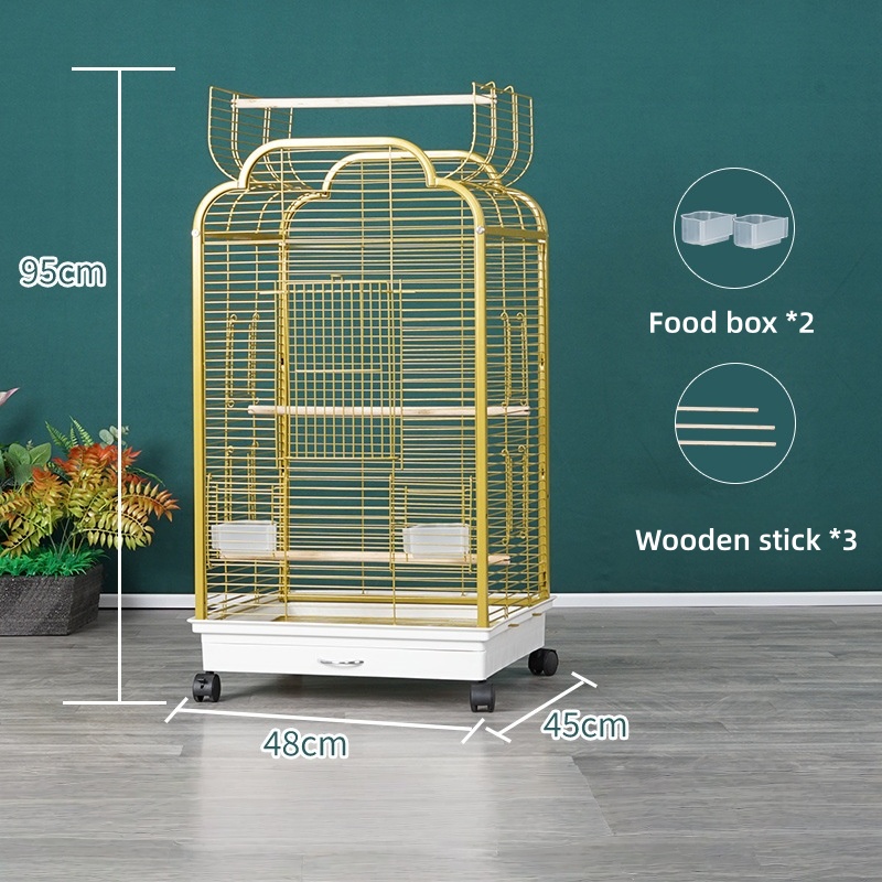 Édition standard A900 dorée