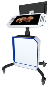 İnsan sanal anatomi masa 3D sanal insan vücudu sanal otopsi diseksiyon masası okul İçin - Product Image 4