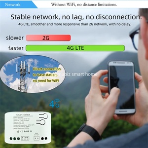 Tuya Smart 4Gスイッチ7-32VリモートコントロールGSMリレー4G Alexa互換性RF433MHzインチングリレー10A Max。 - Product Image 5