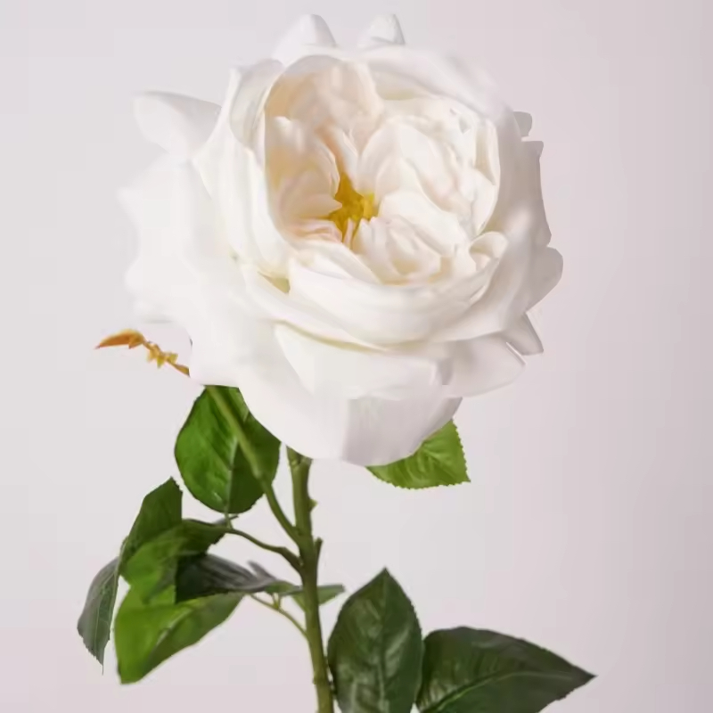 Blanc cassé