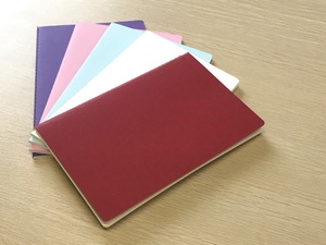 Quaderno personalizzato per studenti con griglia a punti composizione quaderno formato A5 con prezzo di rilegatura a spirale per cucire alla rinfusa