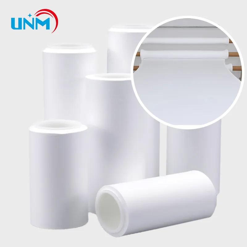 Membrane UNM 0.2um PES coupant la membrane hydrophile pour la filtration du sérum