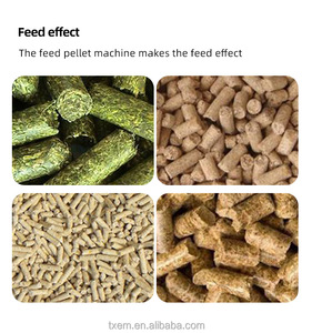 Tingxiang Mini granuleuse dökün aliments hayvan tavuk balık kuş sığır yem yapma makinesi yem pelet makinesi yem peletleyici - Product Image 5