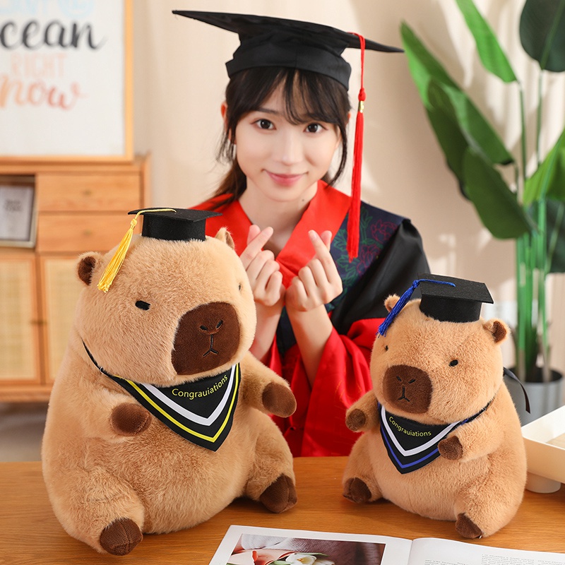Doctor Hat capybara Guinea Pig Graduation Commemorative <strong>Gift</strong> School <strong>gifts</strong> for girl for boy - Product Image 2