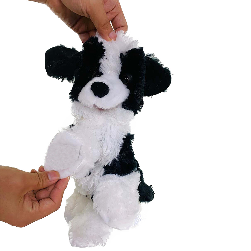 chiot