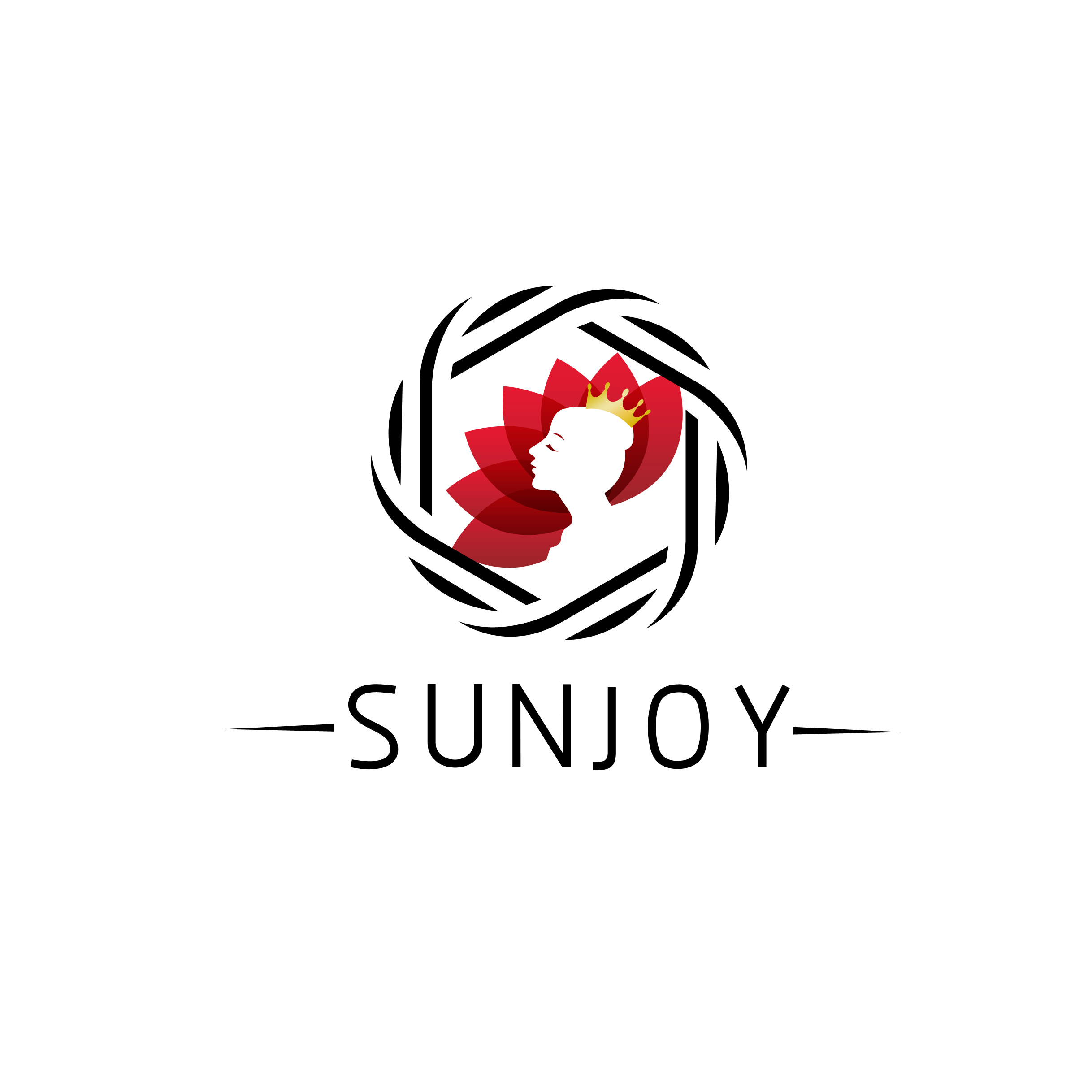 company logo