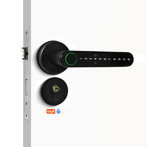 RFID kart akıllı kolu kolu kapı kilidi akıllı kilit anahtarsız giriş biyometrik dijital akıllı elektronik dış kapı kilidi - Product Image 1