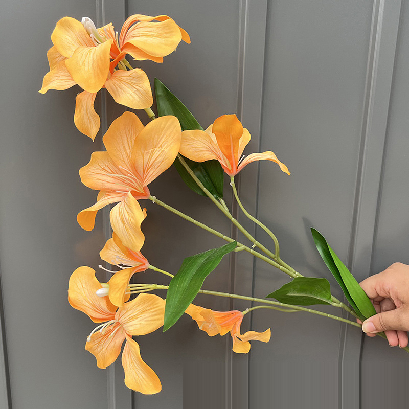 Arancione