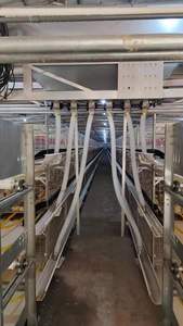 H Type <strong>3</strong> Tiers <strong>Chicken</strong> Pens and Welded Wire Mesh Galvanized <strong>Chicken</strong> Cage With Automatic Control System for <strong>Chicken</strong> House - Product Image 3