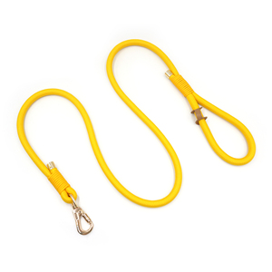 TikTok Shop Bestseller Trend Haustierleinen, Polyester-Hundeleine, Bunte Seil-Hundeleine 150cm, Goldene Schnallen-Seilhalsung für Hunde - Product Image 6