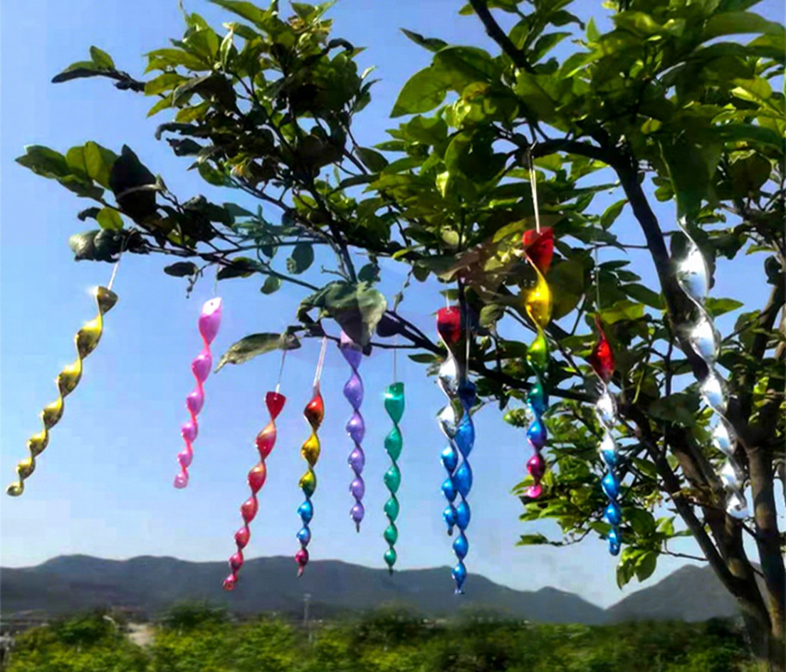 Colorido