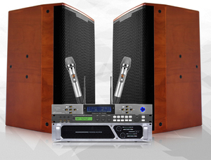 Juego de altavoces de sistema de sonido individual de 900W de fábrica OEM de 12 pulgadas con audio profesional con micrófono para puesta en escena - Product Image 2