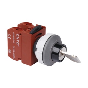 CNTDシリーズC3PNR6スイッチフラットプッシュボタンスプリングリターンLEDライトモーメンタリーIP6516A/10A/5Aプラスチックプッシュボタンスイッチ22mm - Product Image 4