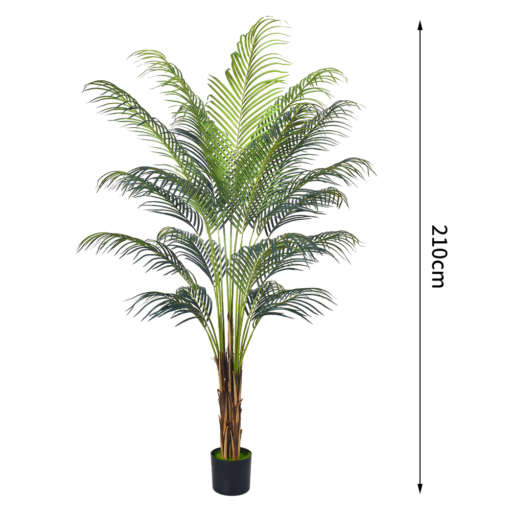 Phoenix Palm-A de 7 pieds/210 cm
