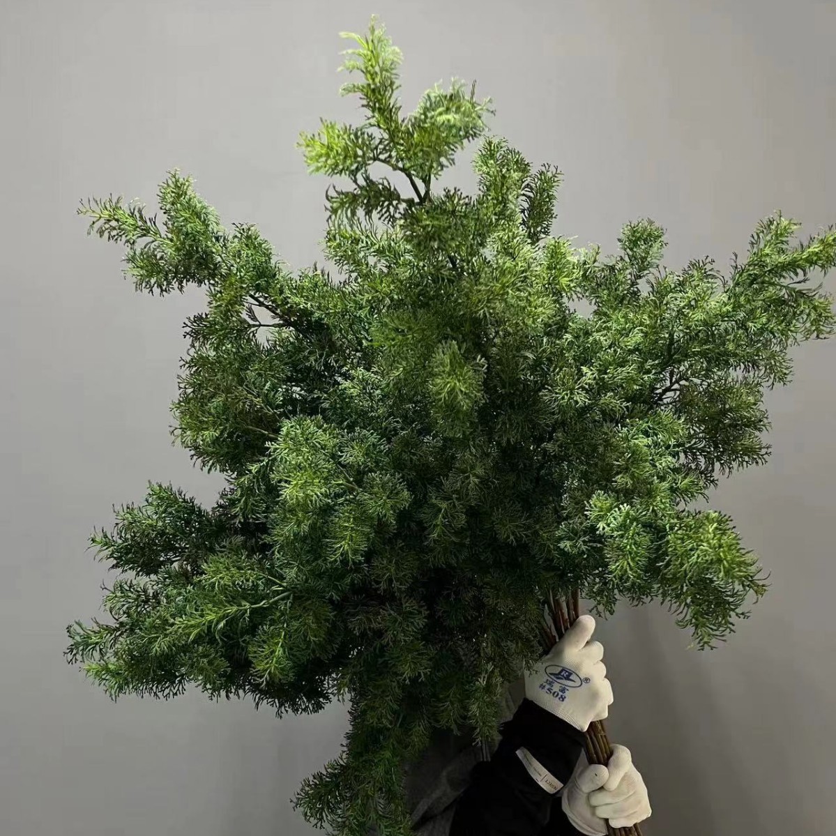 tasong navideño