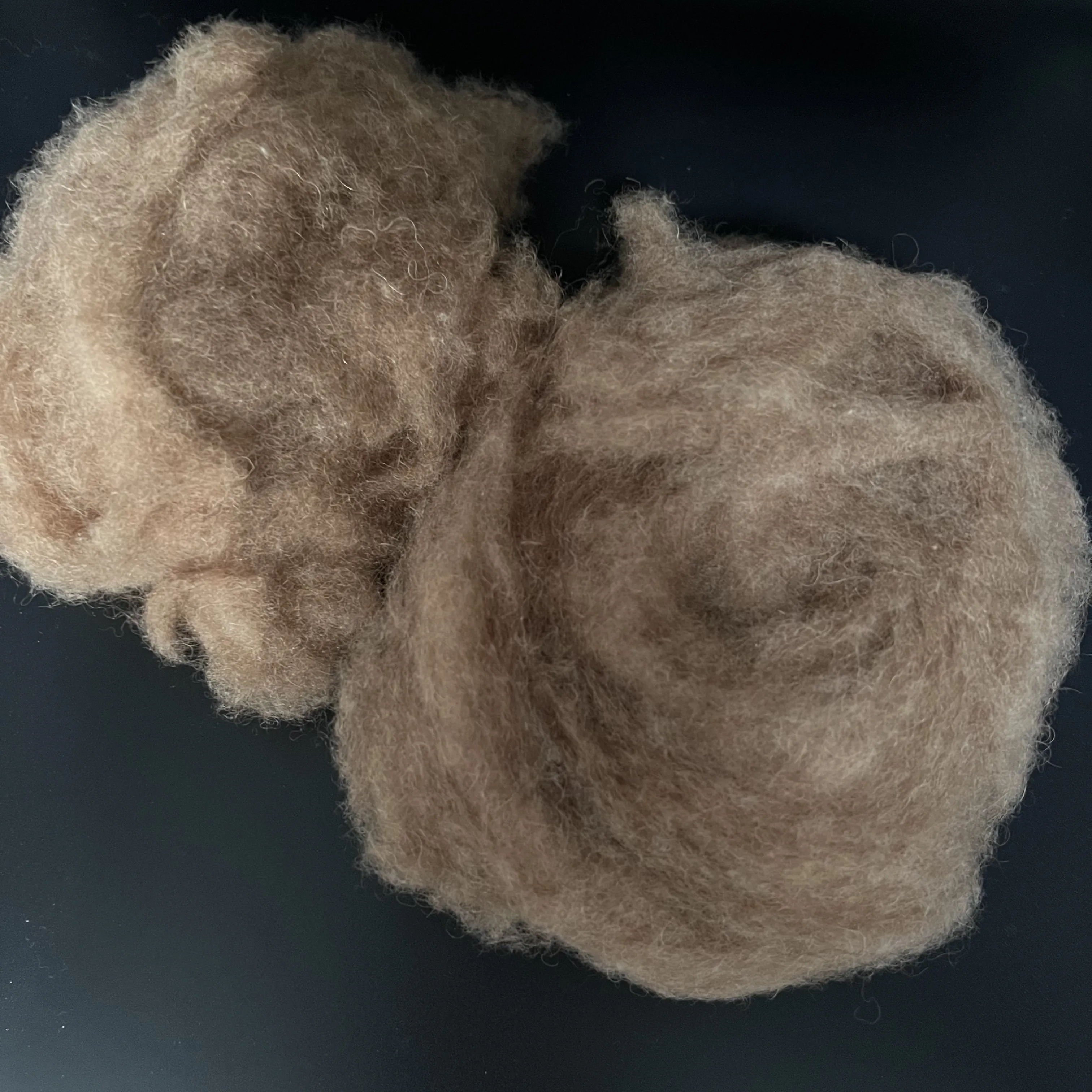 בד 100% שיער גמל מאלשאן מונגוליה הפנימית