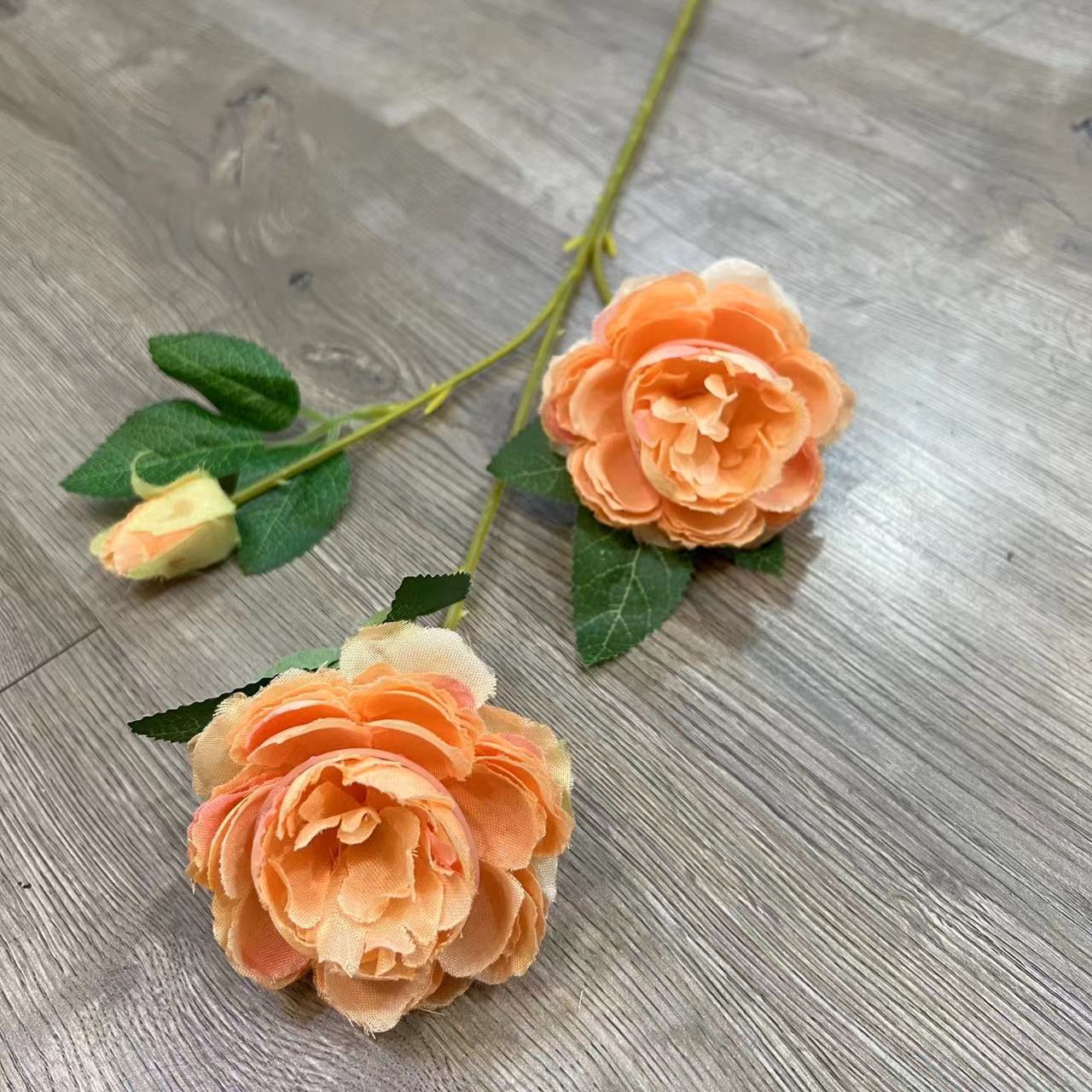 3 têtes de pivoine étrangère poudre orange