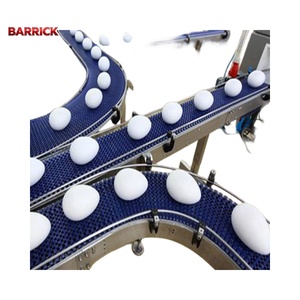 Kümes Hayvanları Çiftlikleri ve Sınıflandırma Ekipmanları için Barrick Ayarlanabilir Hızlı Yumurta Konveyör Bandı - Product Image 4