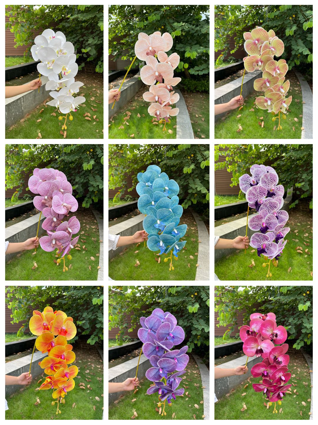Color card
