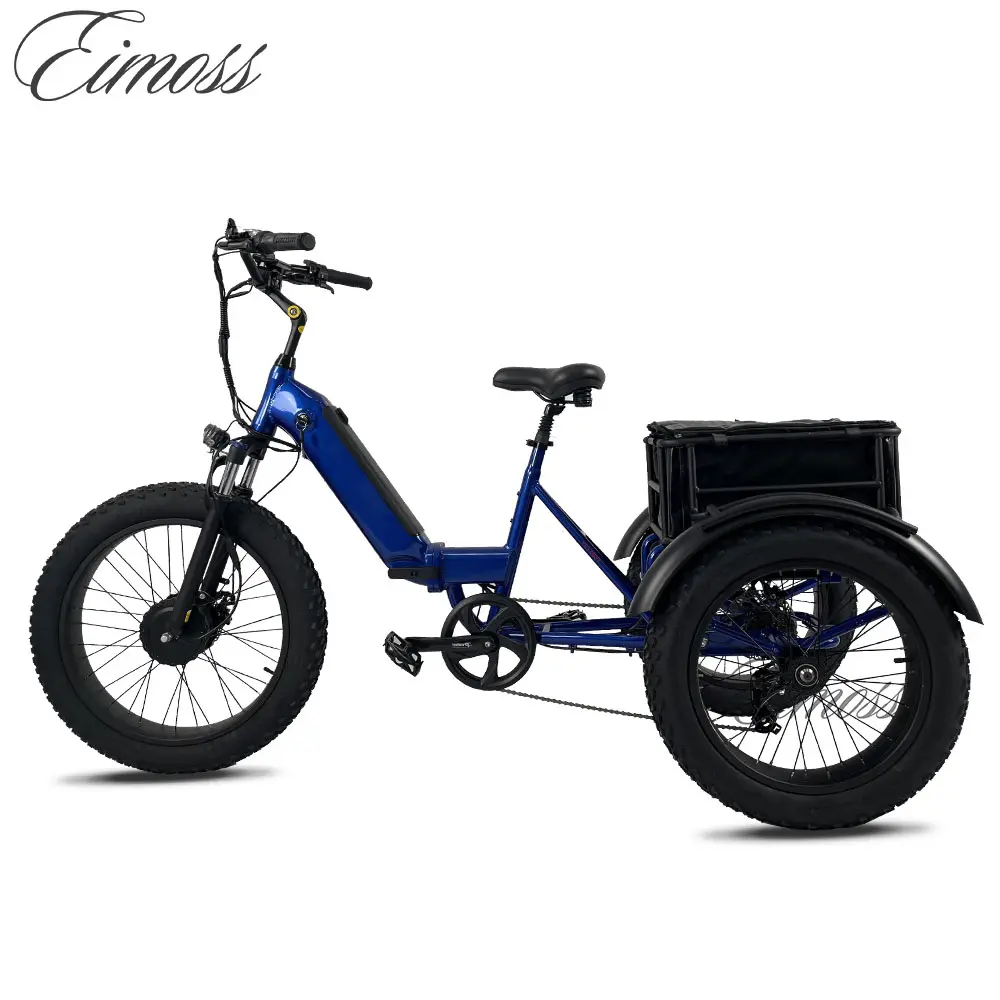 20 ''Fat tire Adult Pull Cargo triciclo Family Vacation Outing Carry Cargo Basket 3 ruote bicicletta City Mountain bike