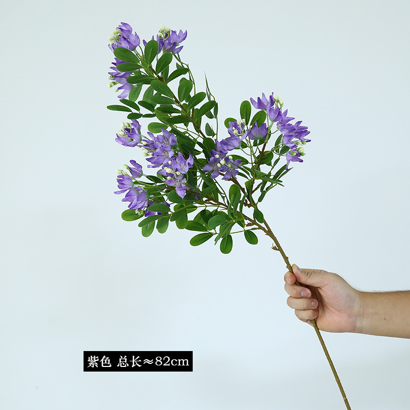 4 violet