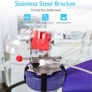 Dental Simulator Manikin Phantom Head - Teaching Mouth Head Model <strong>Fix</strong> on Chair Replaceable Typodont Dental <strong>Tooth</strong> Model - Product Image 3
