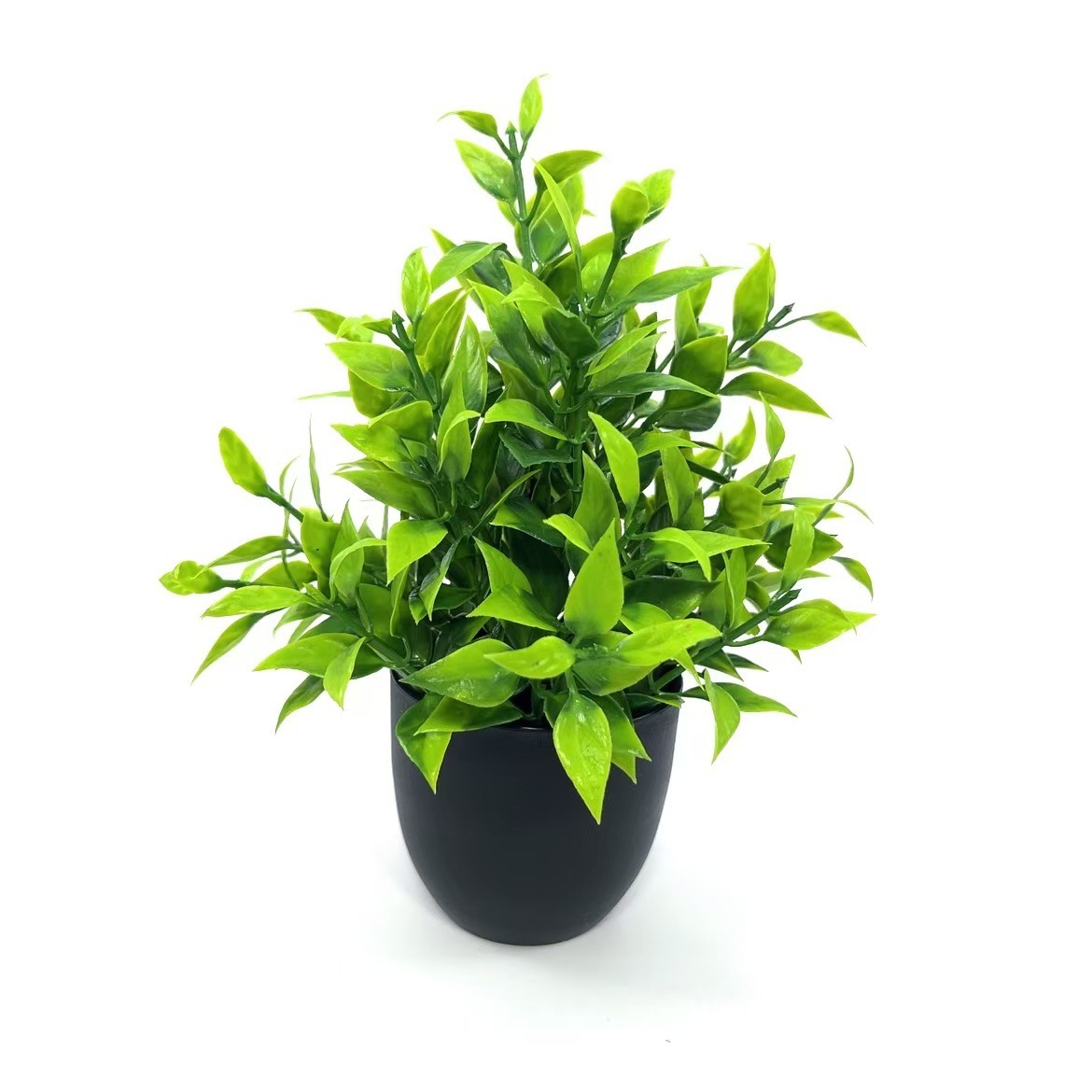 Green K