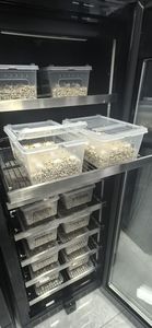 Bò sát trứng lồng ấp cho rùa thằn lằn rắn chim thông minh sưởi ấm và hệ thống làm mát sử dụng nhà nở hine - Product Image 6