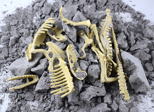 逼真的恐龙骨架套装教育挖掘化石套装儿童爱好者模型玩具 - Product Image 2