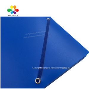 高品质塑料文件盒彩色文件收纳盒定制尺寸盒式办公室文件带 - Product Image 3