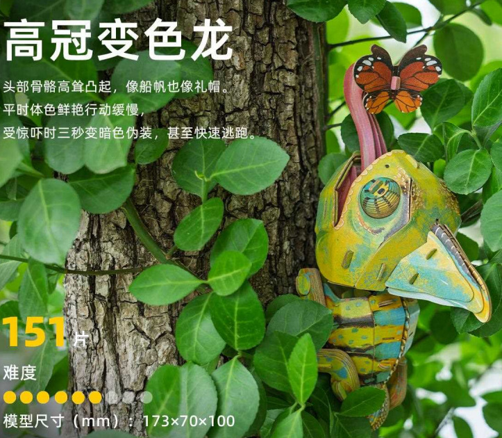 High-crowned chameleon-sl-e077